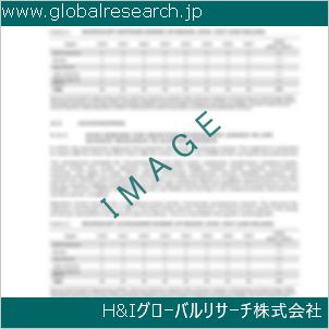 グローバルリサーチ調査資料のイメージ